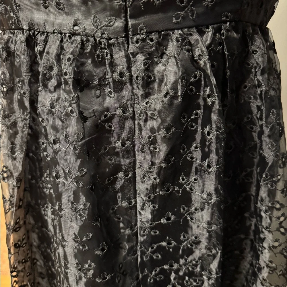 Delia’s black dolls kill floral embroidered Tulle gothic maxi dress NWT🐸 - Picture 6 of 12
